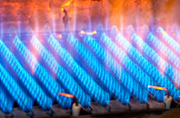 Locksbottom gas fired boilers